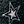 Black White Star