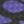 Black Purple