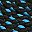 Black Blue