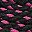 Black Fuchsia