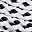 White Black