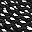 Black White