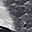 Black Gray