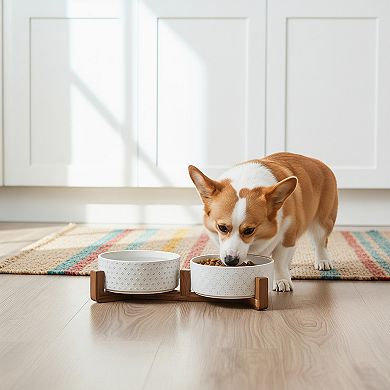 Dog Bowl Set with Wood Stand Ceramic Puppy Bowls 1.5 Cup