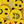 Yellow Emoji Face