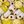 Yellow Mix