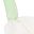 Beige Tulip Beige Snow