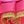 Gold Rose Red