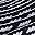 Black White Patten