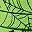 Black Green Spider