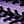 Purple Black