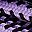 Purple Black
