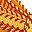Yellow Red