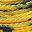 Yellow Black
