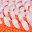 Orange White
