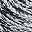 Black White