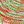 Light Multicolor