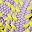 Light Purple Yellow