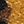 Yellow Brown