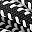 Black White