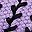 Purple Black