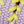 Light Purple Yellow
