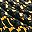 Black And Gold
