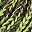 Green Yellow