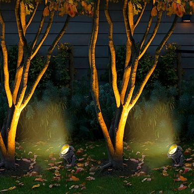 C Cattleya 12-Pack 10.75-Inch Outdoor LED Landscape Spotlight with Ground Stakes