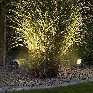 C Cattleya 6-Pack 11-Inch Outdoor LED Landscape Spotlight with Ground Stakes