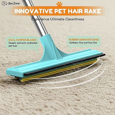 3 in 1 Carpet Rake Pet Hair Removal with Long Short Handle
