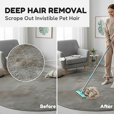 3 in 1 Carpet Rake Pet Hair Removal with Long Short Handle