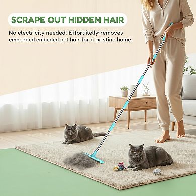 3 in 1 Carpet Rake Pet Hair Removal with Long Short Handle