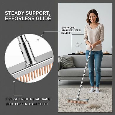 Carpet Rake Pet Hair Remover with Adjustable Long Handle