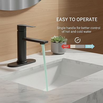 Black Stainless Steel Single Handle Bathroom Faucet With Pop Up Drain