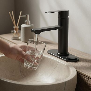 Black Stainless Steel Single Handle Bathroom Faucet With Pop Up Drain