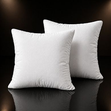 Throw Pillow Inserts Set of 2 Lightweight Down Alternative Polyester Couch Sham Stuffer Machine