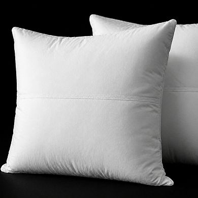 Throw Pillow Inserts Set of 2 Lightweight Down Alternative Polyester Couch Sham Stuffer Machine