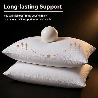 Premium 12x20 Throw Pillow Insert Soft Supportive Decorative Cushion for Bed Couch Sofa