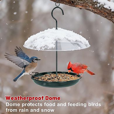 Hanging Platform Bird Feeder: Weatherproof, Squirrel-Resistant Metal Tray, 2Lb Capacity, 360°