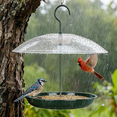 Hanging Platform Bird Feeder: Weatherproof, Squirrel-Resistant Metal Tray, 2Lb Capacity, 360°