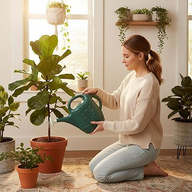 2 Gallon Watering Can 3-Pack, Green for Outdoor Plants