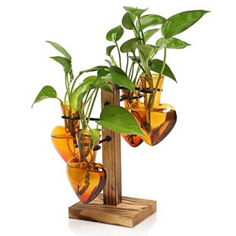 Plant Terrarium Propagation Stations Wooden Stand Glass Vase Indoor Hydroponics Home Garden Office