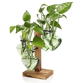Plant Terrarium Propagation Stations Wooden Stand Glass Vase Indoor Hydroponics Home Garden Office