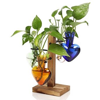Plant Terrarium Propagation Stations Wooden Stand Glass Vase Indoor Hydroponics Home Garden Office