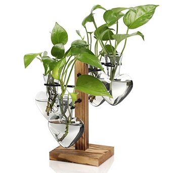 Plant Terrarium Propagation Stations Wooden Stand Glass Vase Indoor Hydroponics Home Garden Office