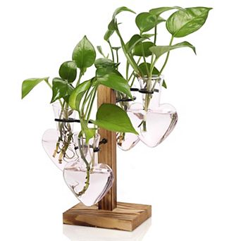 Plant Terrarium Propagation Stations Wooden Stand Glass Vase Indoor Hydroponics Home Garden Office