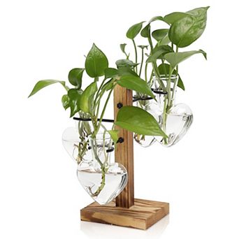 Plant Terrarium Propagation Stations Wooden Stand Glass Vase Indoor Hydroponics Home Garden Office