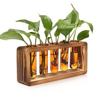 Glass Plant Propagation Station 5 Test Tubes Wooden Stand Vase Birthday Gift Women