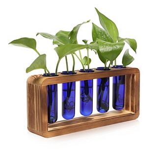 Glass Plant Propagation Station 5 Test Tubes Wooden Stand Vase Birthday Gift Women